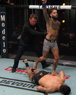 Лучшие финиши участников UFC Вегас 27