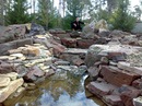 Міша Леньо фотография #16 (источник - https://vk.com/id152818087)