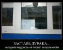 Лана Войтенко фотография #12 (источник - https://vk.com/id139880746)