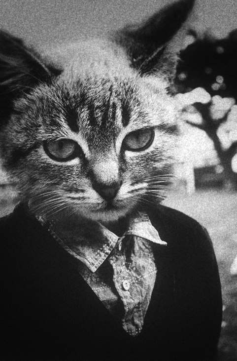 Во Ва фотография #32