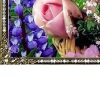 Діанка :-* фотография #48 (источник - https://vk.com/id118806718)