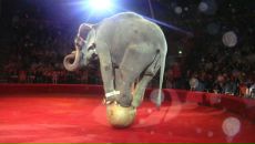 Фотография Бабич Наташи