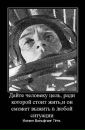 Imperiya Ruscams фотография #11 (источник - https://vk.com/id151038778)