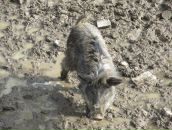 Іван Харчук фотография #38 (источник - https://vk.com/id81214004)