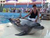 Фотография Соколовой Надежды