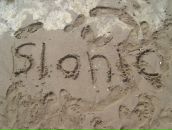 Фотография Бахарева Дарья