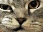 Deleted Deleled фотография #36 (источник - https://vk.com/id21111719)