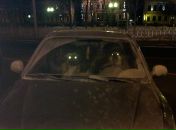 Фотография Туленко Ксении