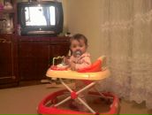 Діма Чеботар фотография #39 (источник - https://vk.com/id87014140)