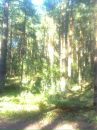 Tatarin_tata Myc фотография #9 (источник - https://vk.com/id107083149)