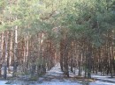 Наталі Криворучко фотография #30 (источник - https://vk.com/id42236716)