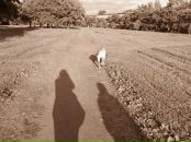 Фотография Ривман Анны