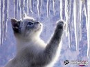 Катерина Пухніченко фотография #17 (источник - https://vk.com/id71264965)