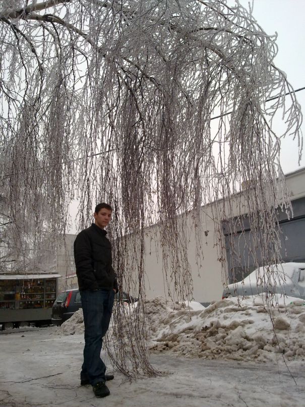 Олег Серов фотография #39