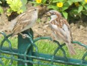 Фотография Москвиной Тамары