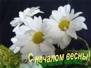Тіна Кароль фотография #37 (источник - https://vk.com/id168345197)