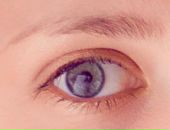 Фотография Кобзаренко Дарьи