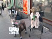 Дмитрий Малышкин фотография #18 (источник - https://vk.com/id28328206)