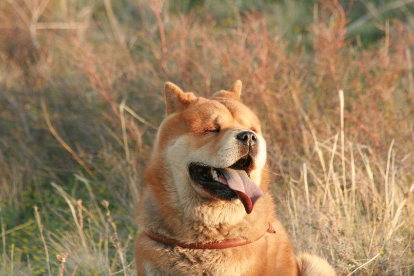 Orlov Ivan фотография #42