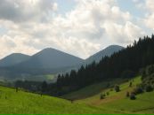 Світлана Головата фотография #30 (источник - https://vk.com/id87984612)