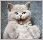 Мартошка Завідковська фотография #42 (источник - https://vk.com/id100492018)