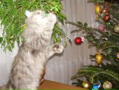 Юлія Гедз фотография #6 (источник - https://vk.com/id5930951)