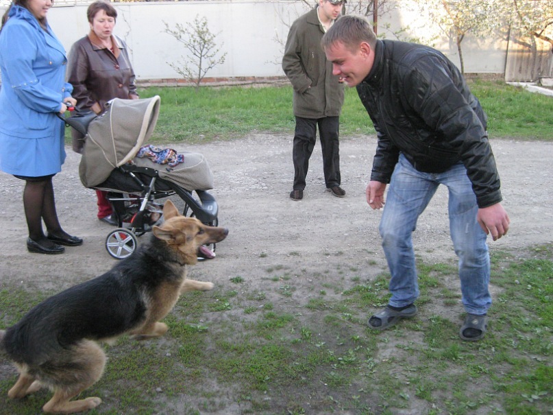 Сергей Кравченко фотография #21