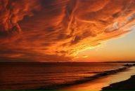 Фотография Petrakovski Pavel