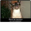 Іра Костюк фотография #45 (источник - https://vk.com/id154330109)