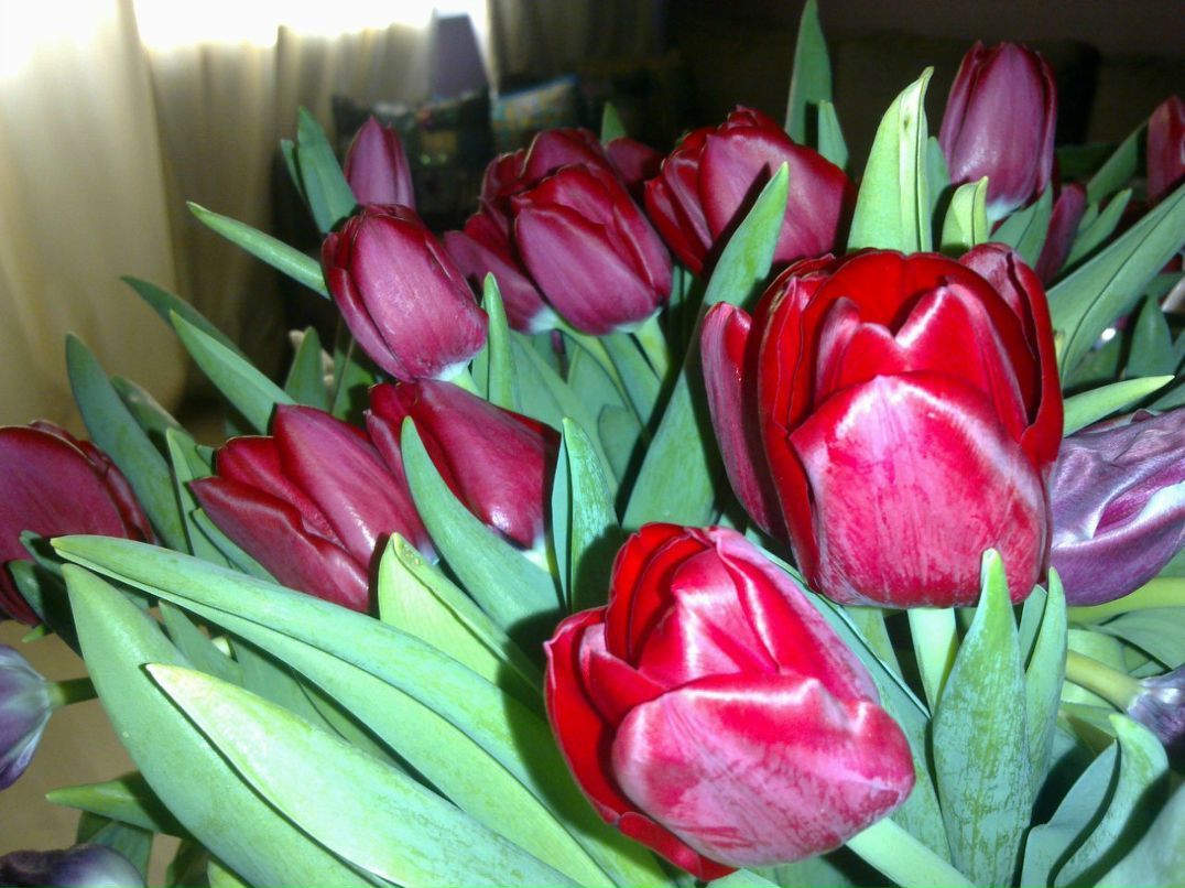 Тамара Дорофеева фотография #37