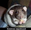 Фотография Дубовцева Алексея