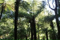 Александр Онищенко фотография #42 (источник - https://vk.com/id1753660)