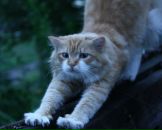 Фотография Городиловой Варвары