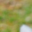 Юлічка Love фотография #45 (источник - https://vk.com/id143113296)