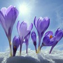 Анна Кушнірук фотография #24 (источник - https://vk.com/id164095946)