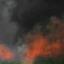 Віталік Фединяк фотография #16 (источник - https://vk.com/id142277979)