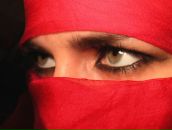 Фотография Зуевич Анастасии