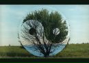 Фотография Чигановой Галины-Галы