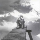 Фотография Зайцева Игоря