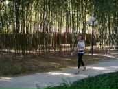 Алина Семенова фотография #44 (источник - https://vk.com/id3758534)