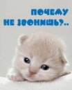 Фотография Васильева Евгения