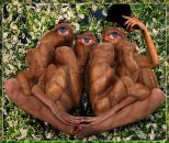 Фотография Матвеева Александра