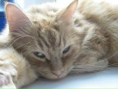 Фотография Андроновой Татьяны