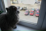 Фотография Izza Ксении