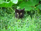 Фотография Давлетшиной Ильмиры