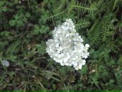 Фотография Романовой Галины