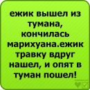 Ярослав Єрін фотография #25 (источник - https://vk.com/id69618887)