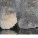 Інна Тодорчук фотография #39 (источник - https://vk.com/id155408833)