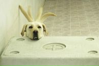 Сергей Малинов фотография #13 (источник - https://vk.com/id3626556)