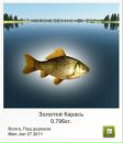 Платон Білинський фотография #16 (источник - https://vk.com/id136798686)